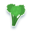 Brócolis