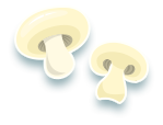 Champignon